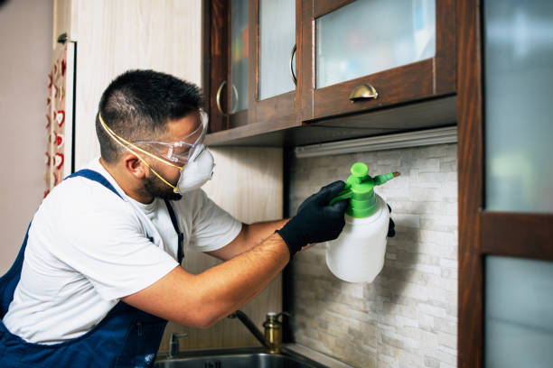 Best Wildlife Control Services  in Anaconda, MT
