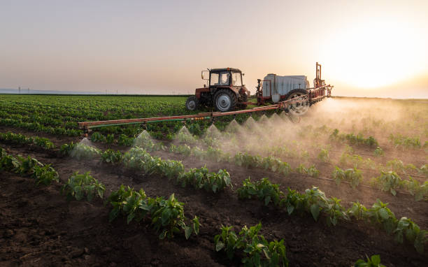 Best Pest Control for Homes  in Anaconda, MT