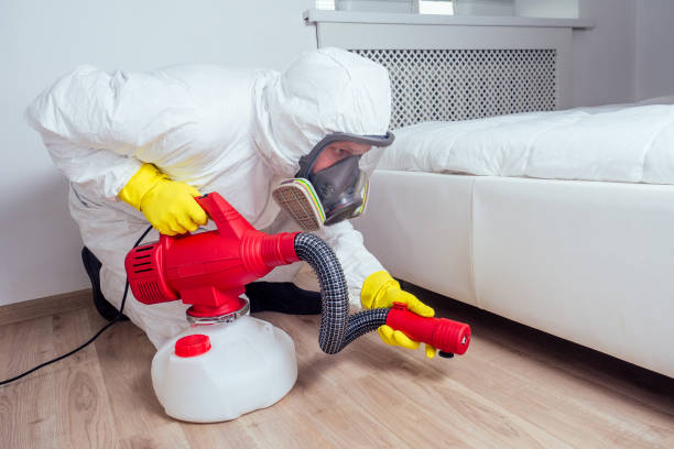 Best Affordable Pest Control Services  in Anaconda, MT