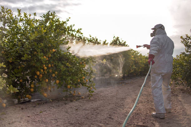 Best Pest Prevention Services  in Anaconda, MT