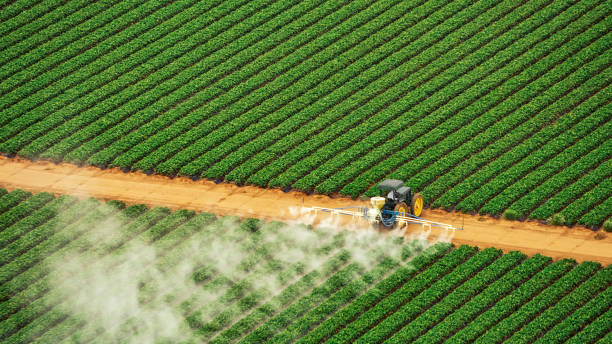 Best Best Pest Control Companies  in Anaconda, MT