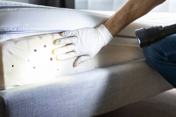 Best Pest Removal Services  in Anaconda, MT